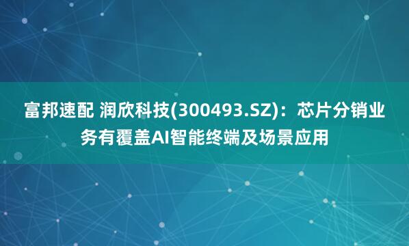 富邦速配 润欣科技(300493.SZ)：芯片分销业务有覆盖AI智能终端及场景应用
