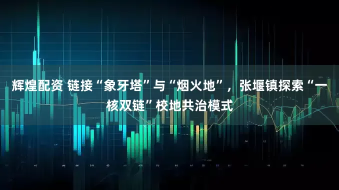 辉煌配资 链接“象牙塔”与“烟火地”，张堰镇探索“一核双链”校地共治模式